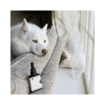 Pet CBD Oil Tincture - Image 2